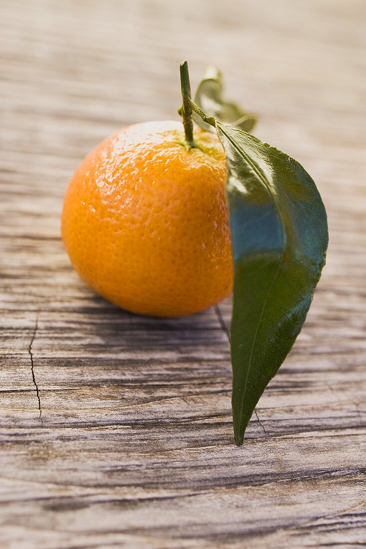 Clementine mit Blatt auf Holzuntergrund