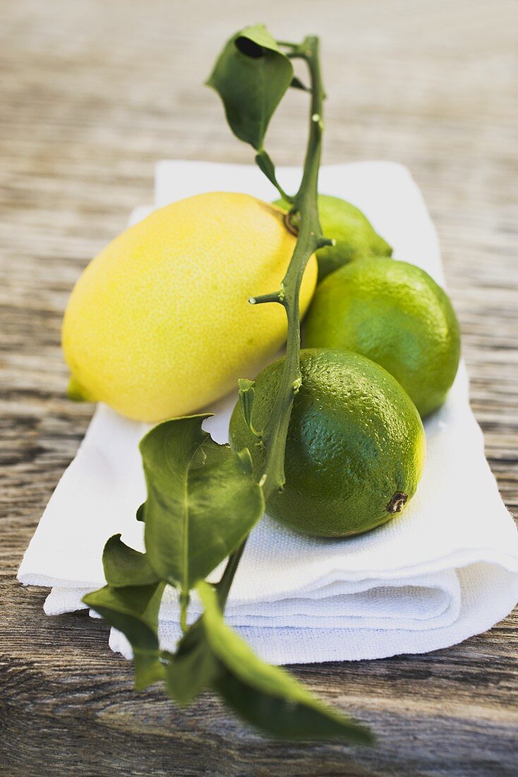 Limetten und Zitrone auf weißem Tuch