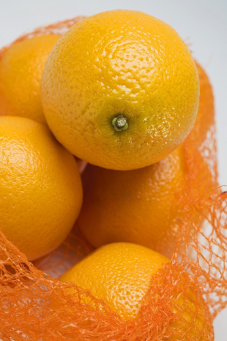 Oranges in a net (detail)