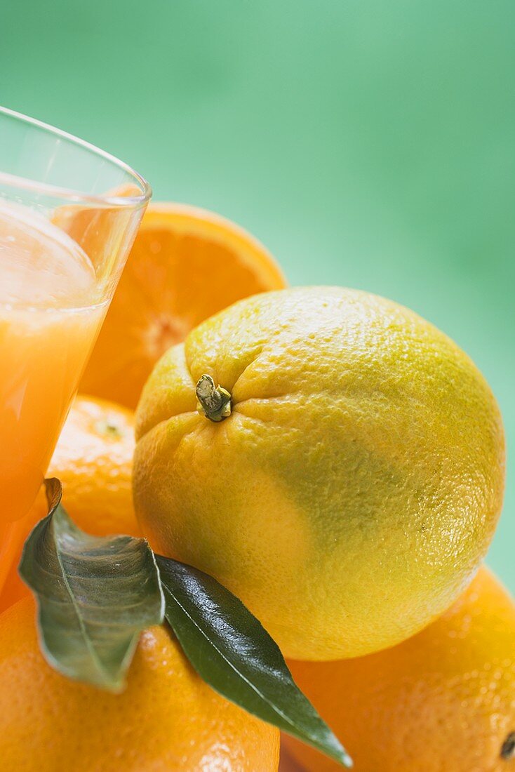 Several oranges beside glass of orange juice