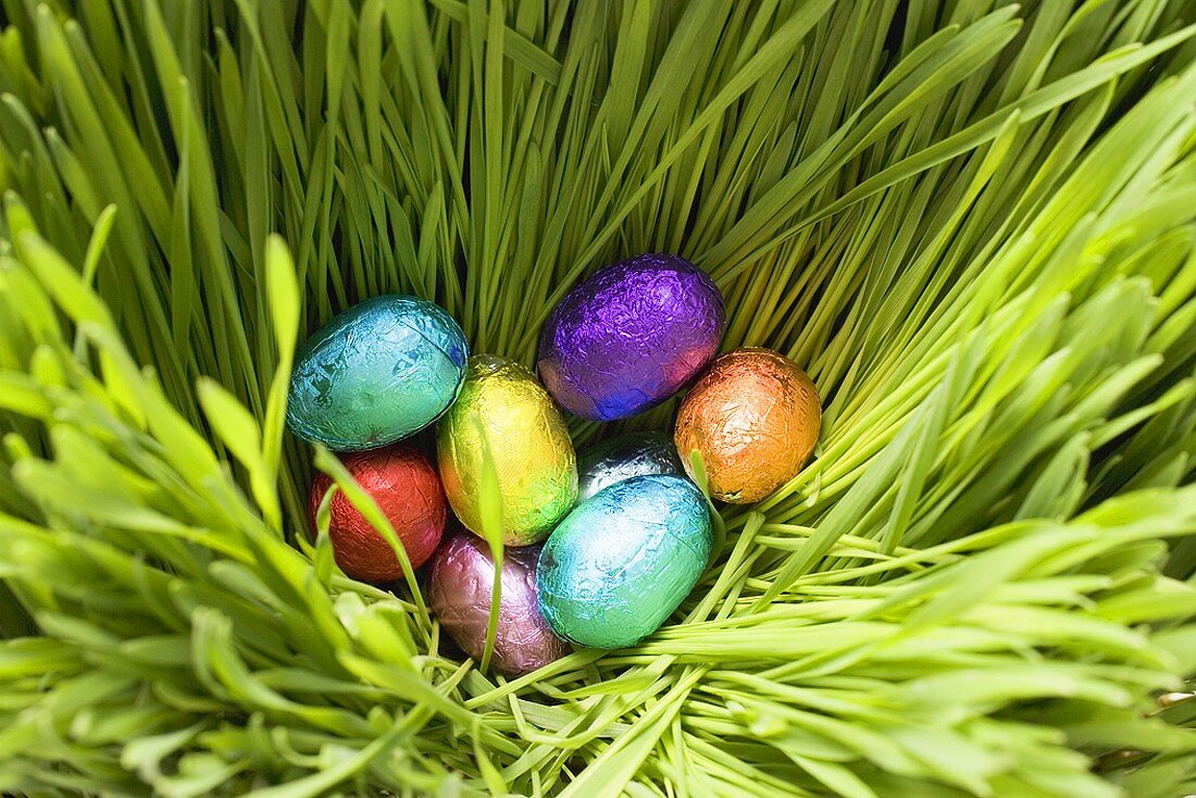 Chocolate eggs, wrapped in coloured foil, in grass