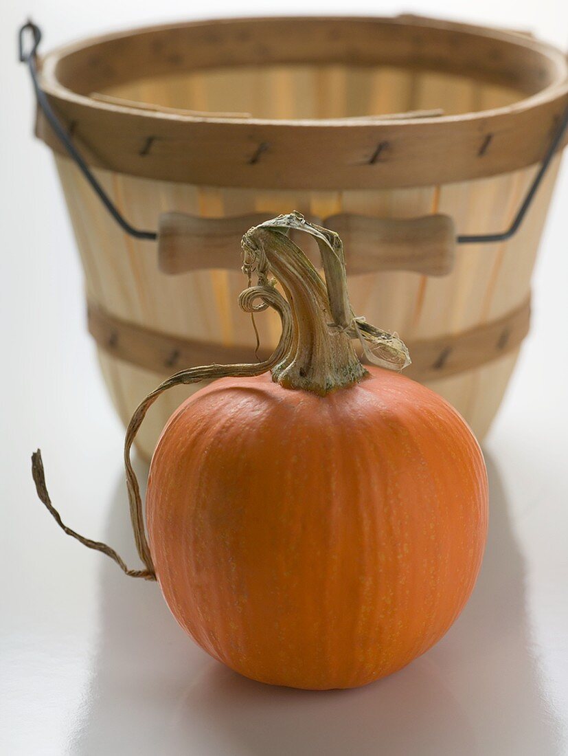 Orange pumpkin in front of woodchip basket