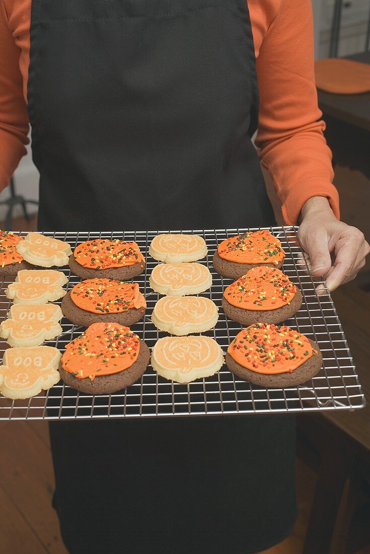 Hände halten Kuchengitter mit Plätzchen für Halloween