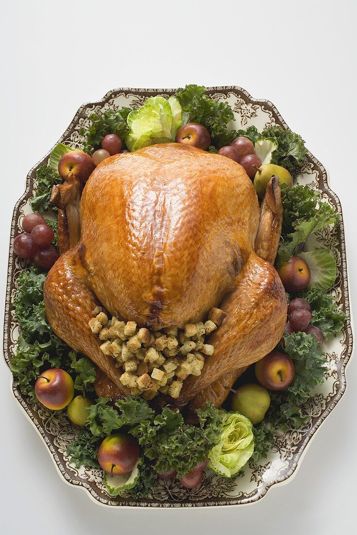 Stuffed turkey on platter (overhead view)