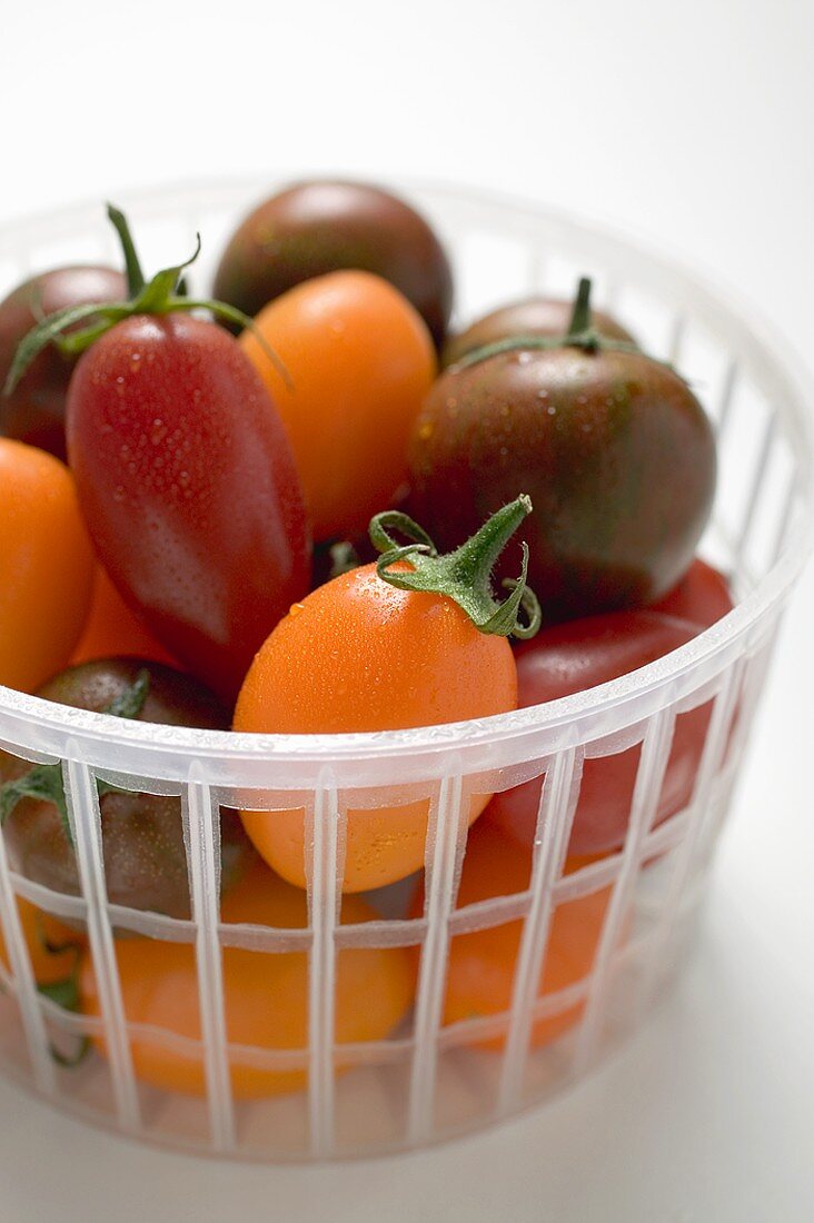 Verschiedene Tomaten im Plastikkorb