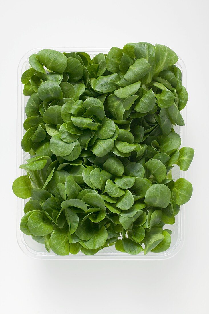 Corn salad in plastic punnet (overhead view)