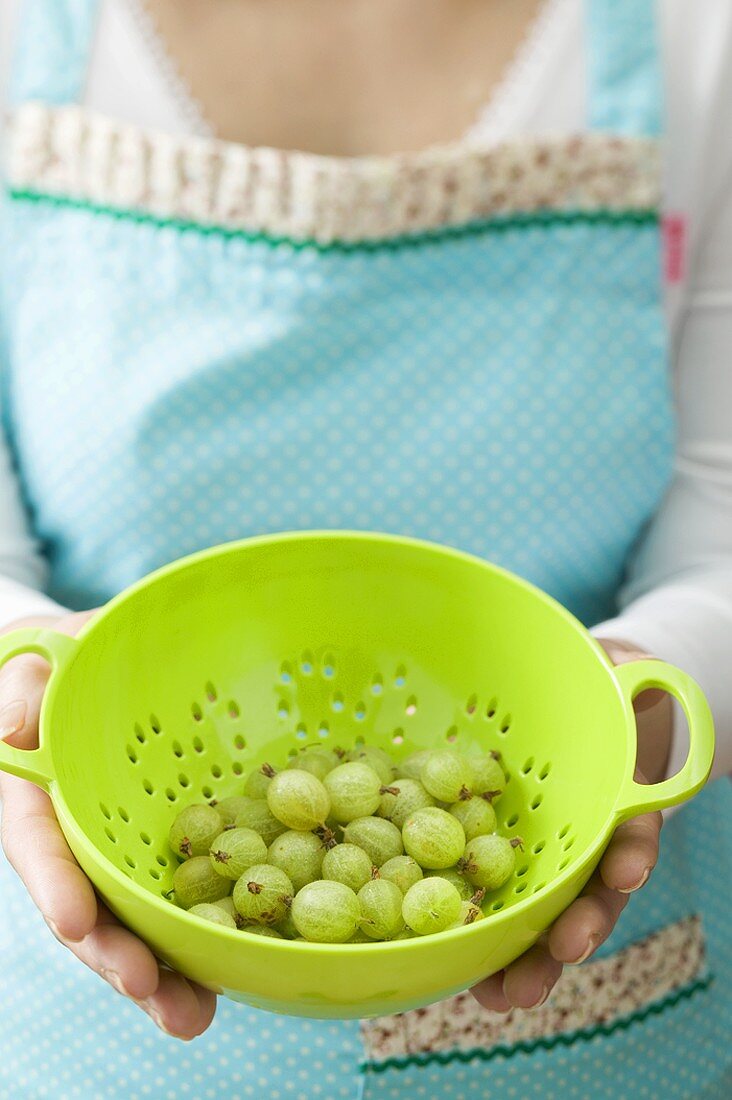 Woman holding small colander containing green gooseberries