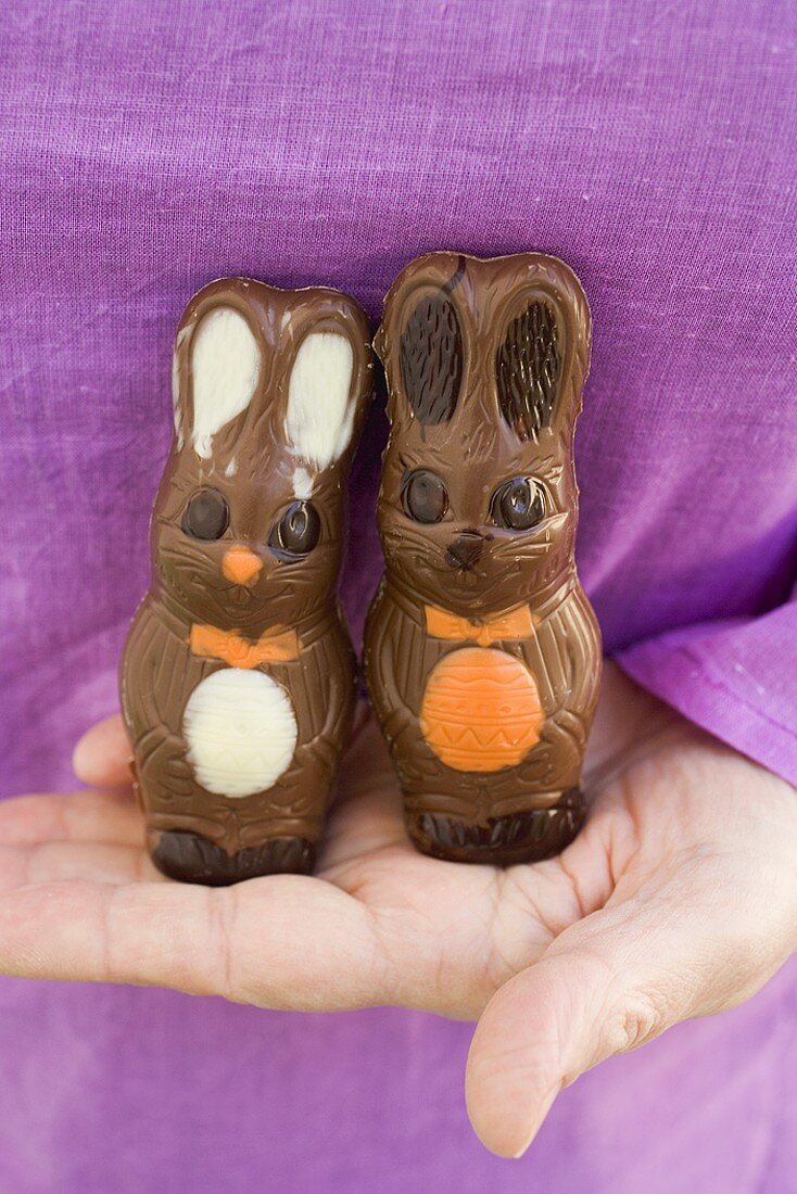 Hand holding two chocolate Easter Bunnies