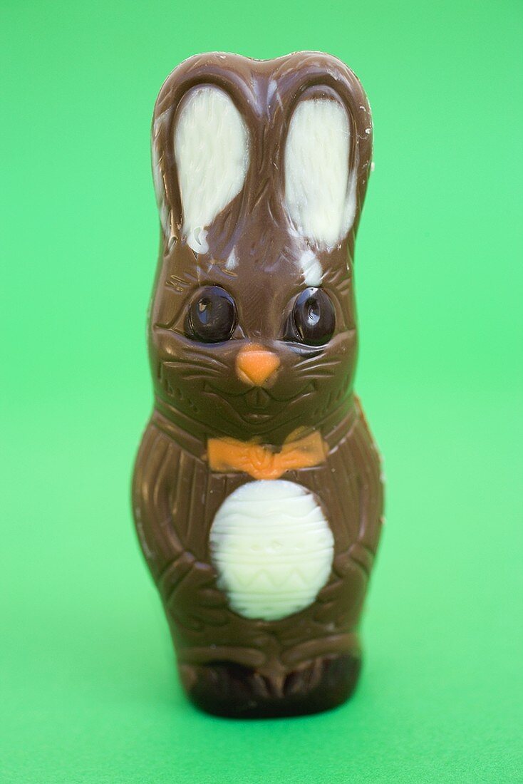 Chocolate Easter Bunny on green background