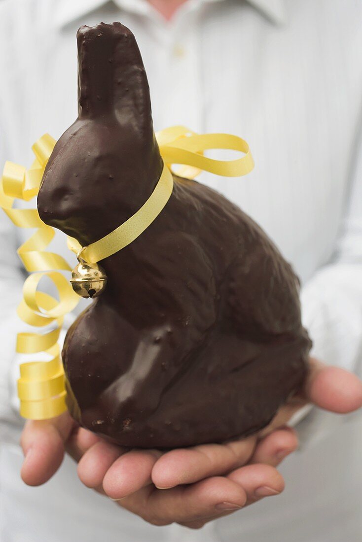 Hands holding chocolate Easter Bunny