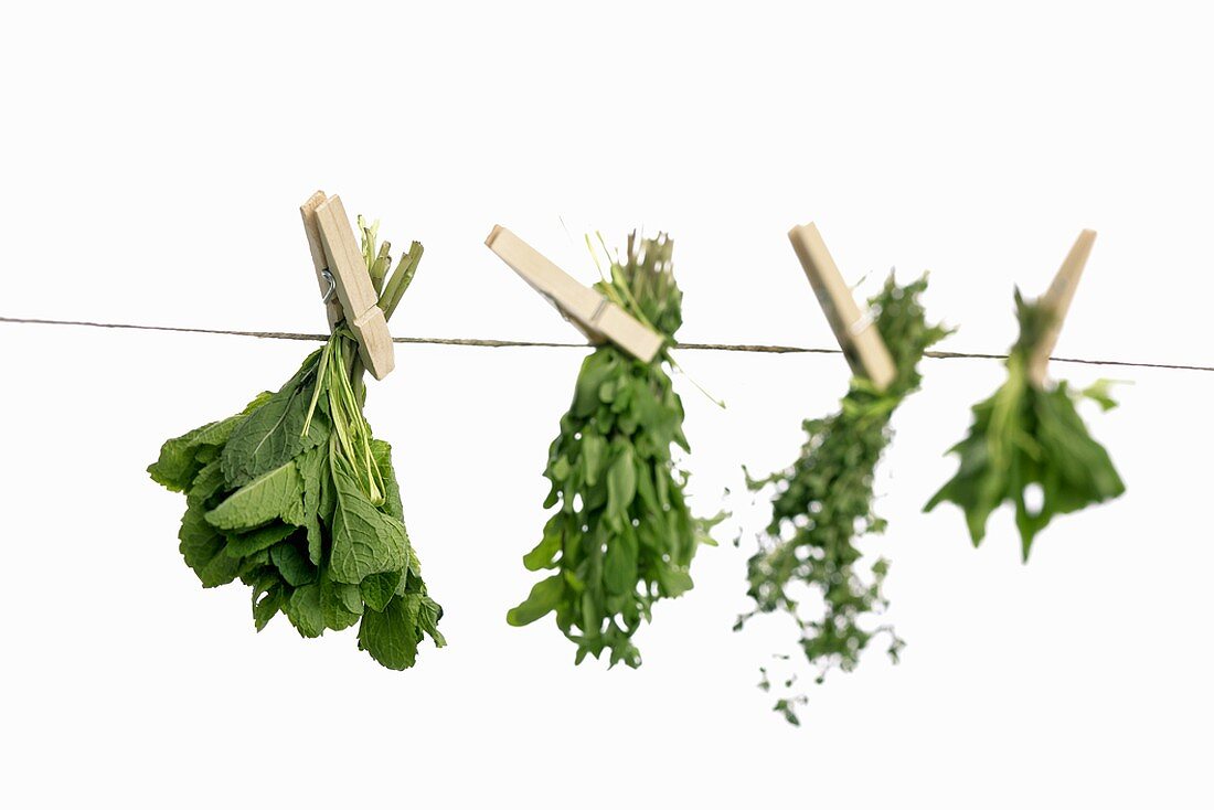 Herbs drying on a washing line