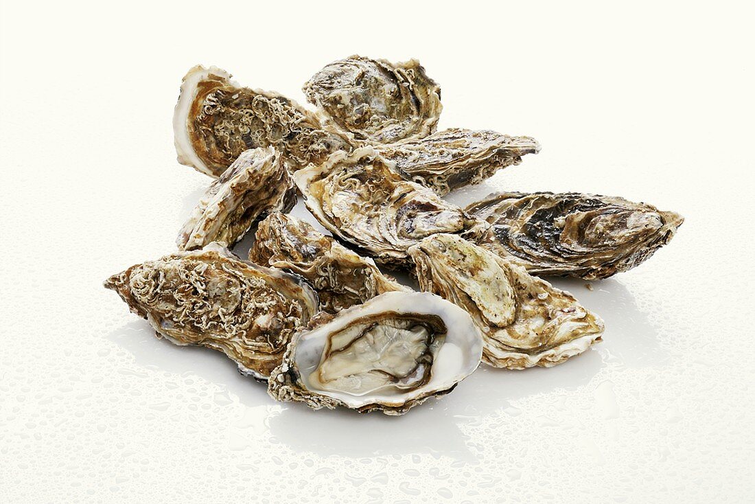 Fresh oysters with drops of water