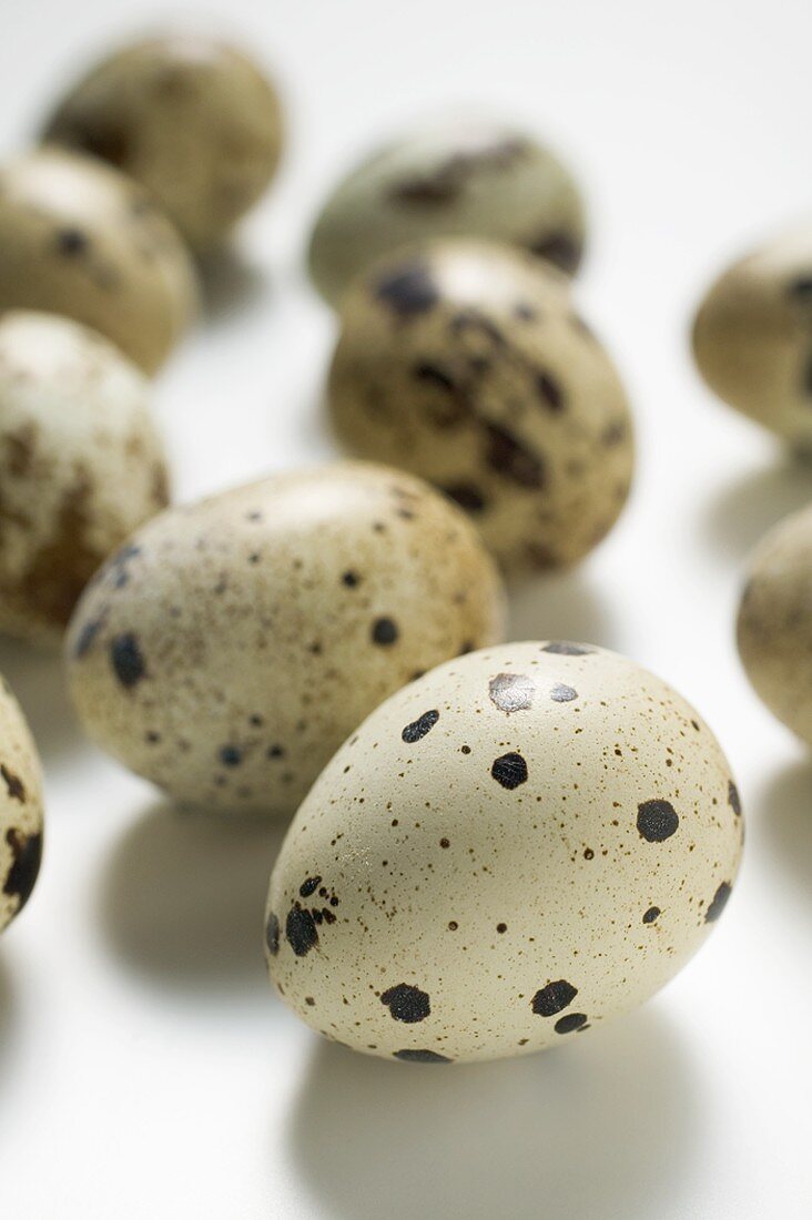 Several quails' eggs