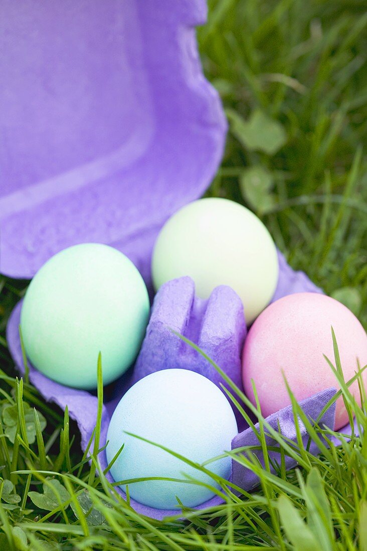 Vier gefärbte Eier im Eierkarton auf Wiese