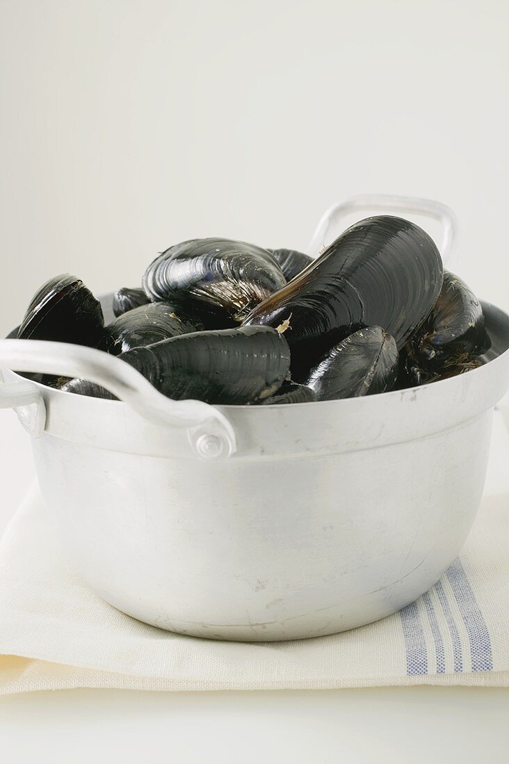 Mussels in pan