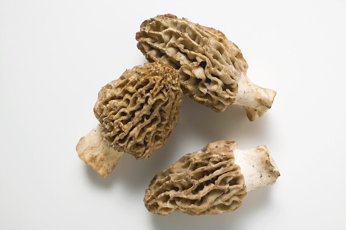 Three morels