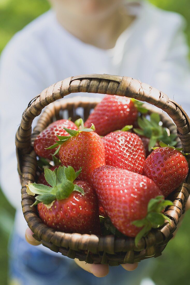 Person hält Korb mit frischen Erdbeeren