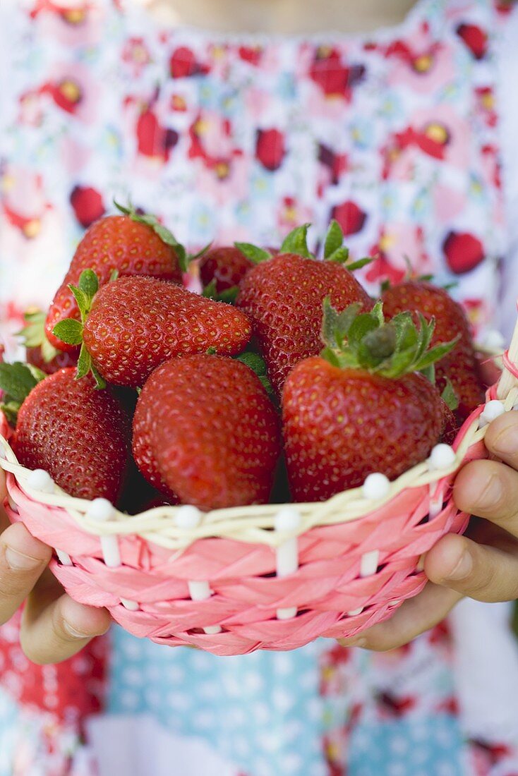 Child's hands holding basket of fresh strawberries