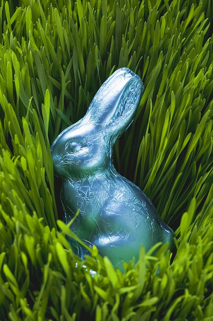 Easter Bunny in grass