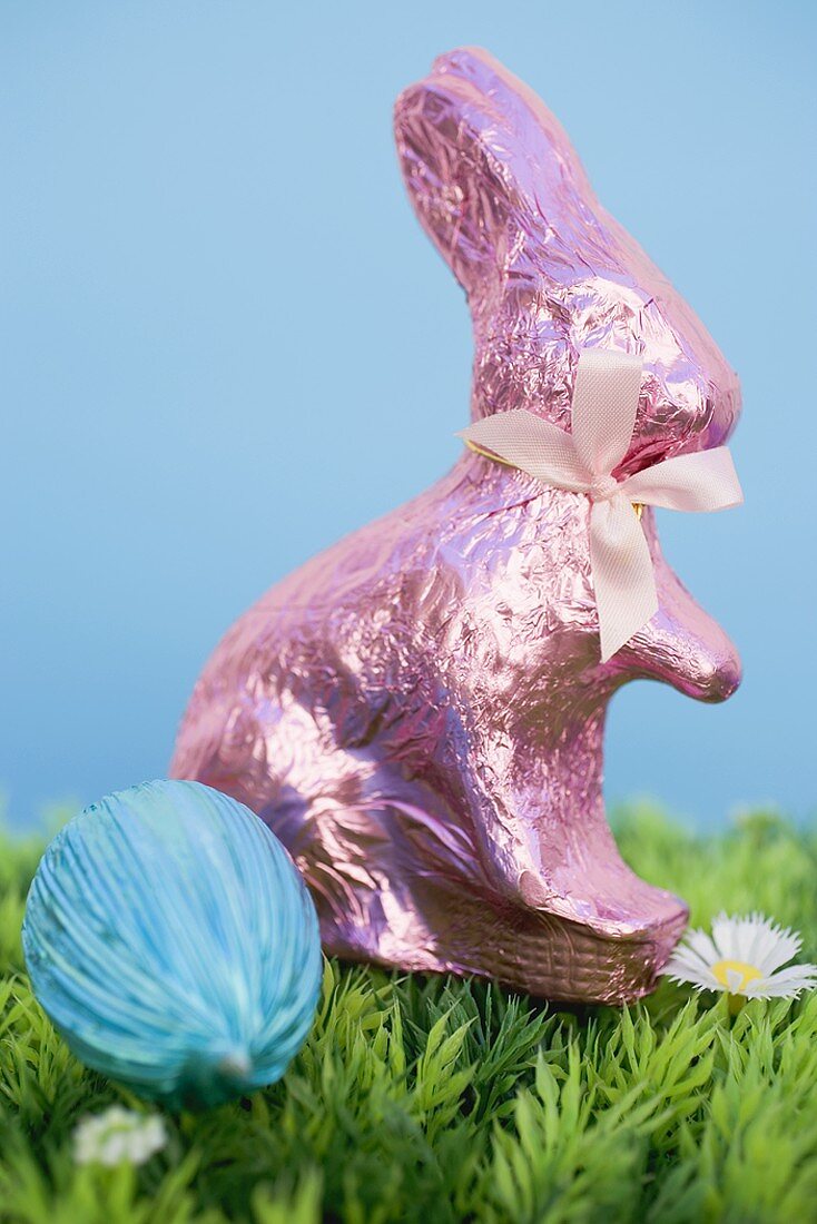 Easter Bunny and chocolate egg in grass with daisies