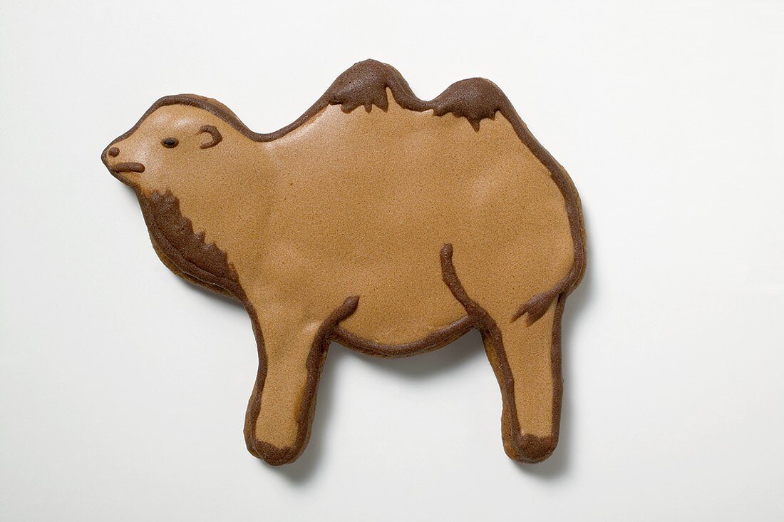 Christmas biscuit (camel)