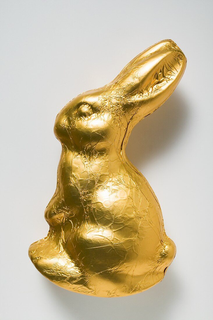 Chocolate bunny in gold foil