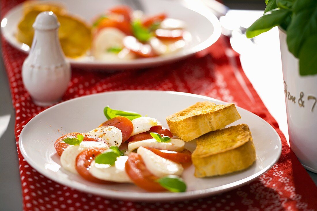 Tomatoes, mozzarella and basil