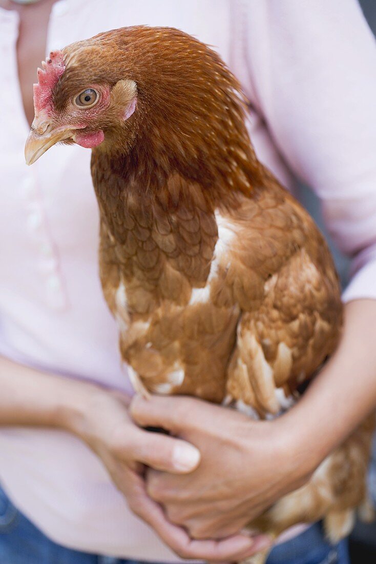 Frau hält lebendiges Huhn