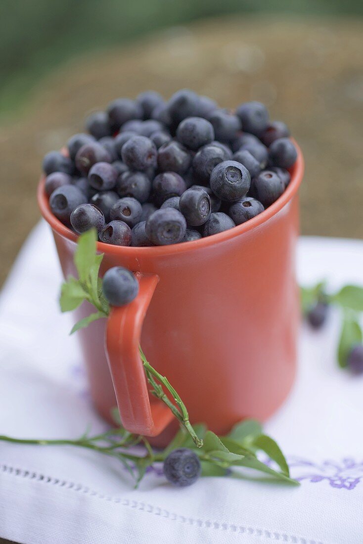 Blueberries in mug