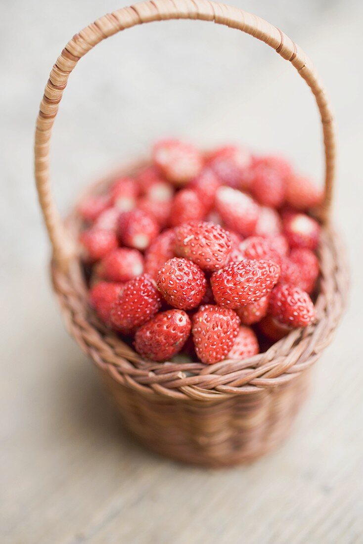 Walderdbeeren im Korb