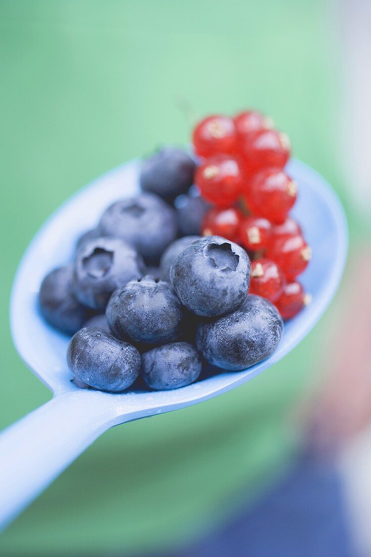 Heidelbeeren und rote Johannisbeeren auf blauem Löffel