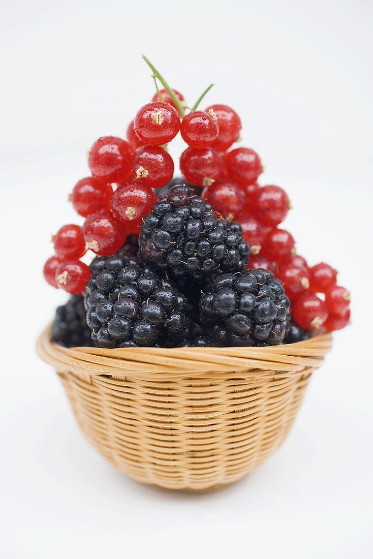 Brombeeren und rote Johannisbeeren im Korb