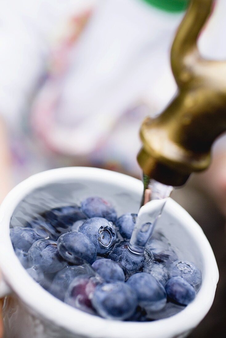Washing blueberries