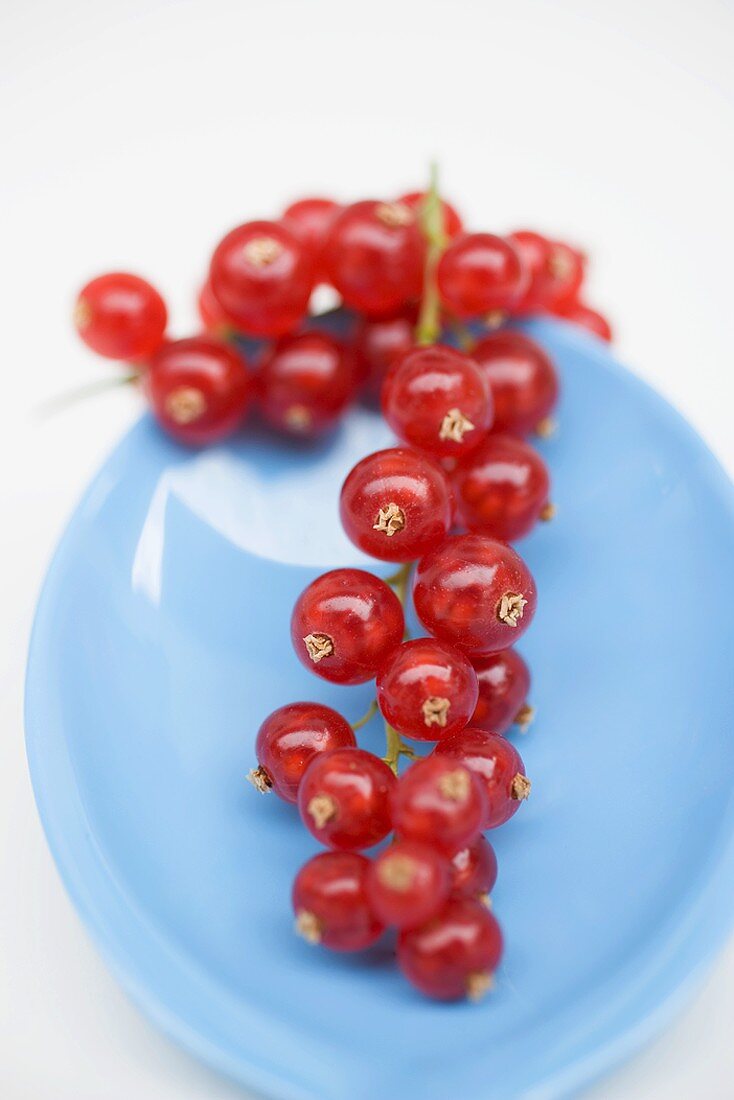 Rote Johannisbeeren auf Löffel