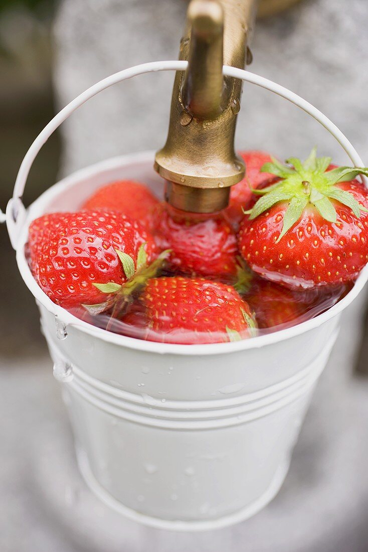 Erdbeeren im Eimer waschen