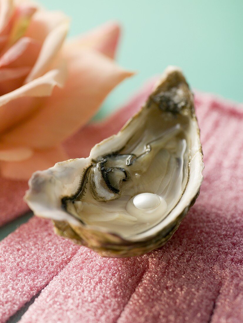 Fresh oyster with pearl on pink glove