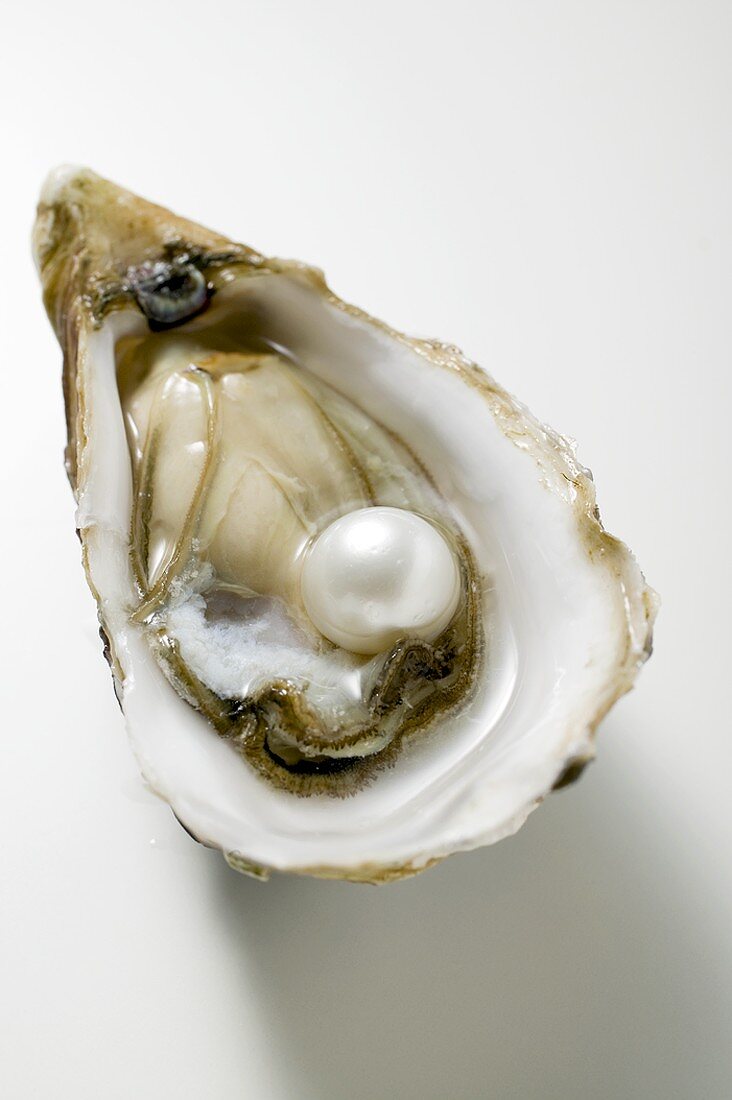 Frische Auster mit Perle