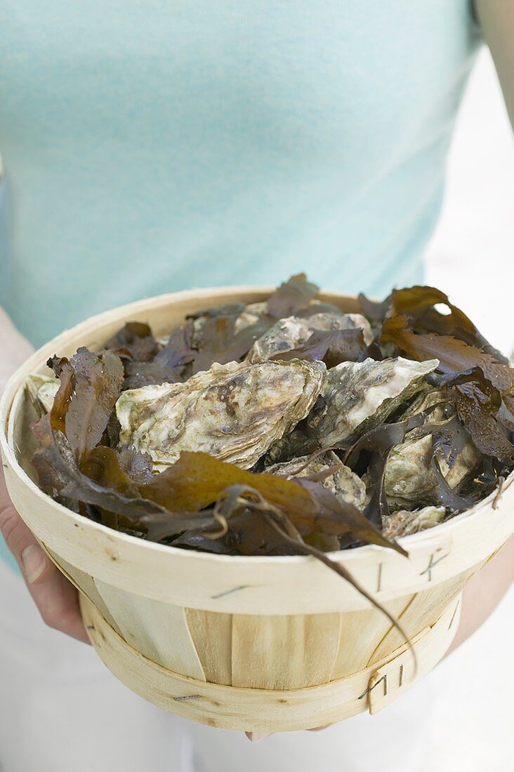 Woman holding basket full of fresh oysters