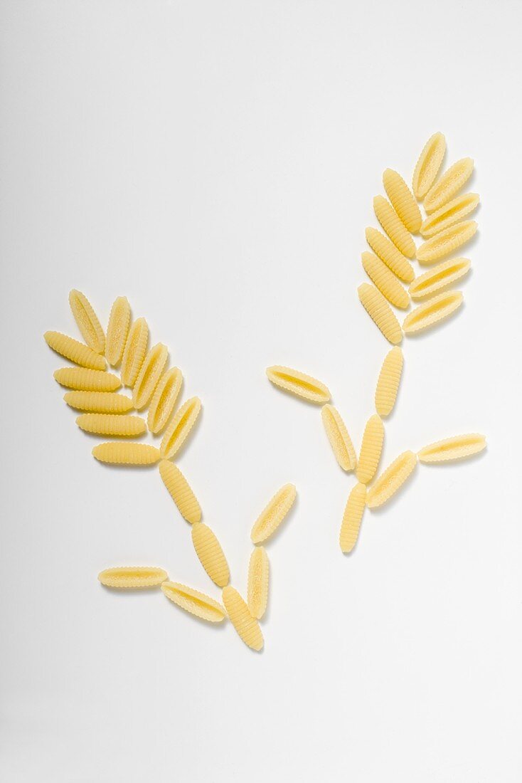Two flowers formed from pasta