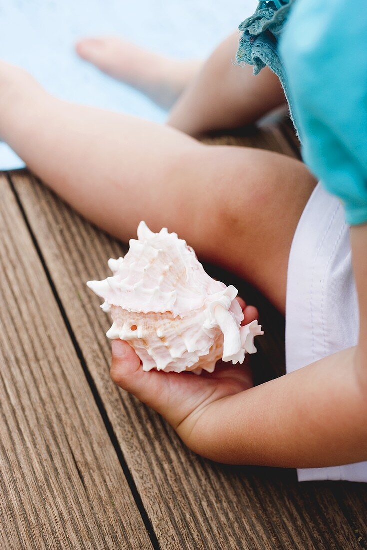 Child holding sea shell on edge of swimming pool