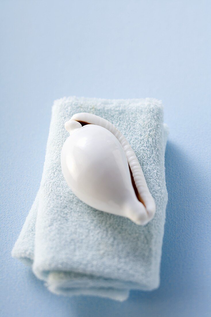 Sea shell on towel