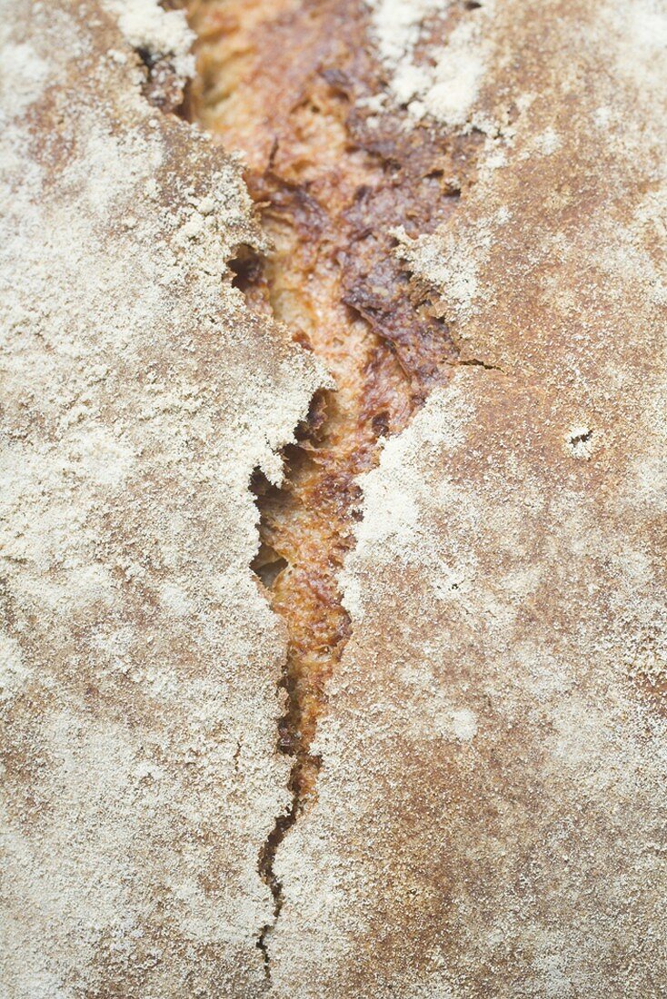 Rustic bread (detail)