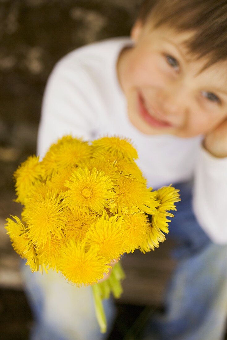 Child holding bunch of dandelions