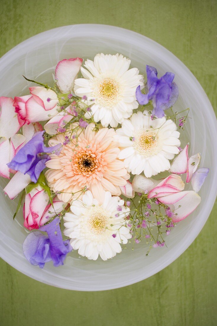 Mixed flowers in a bowl of water
