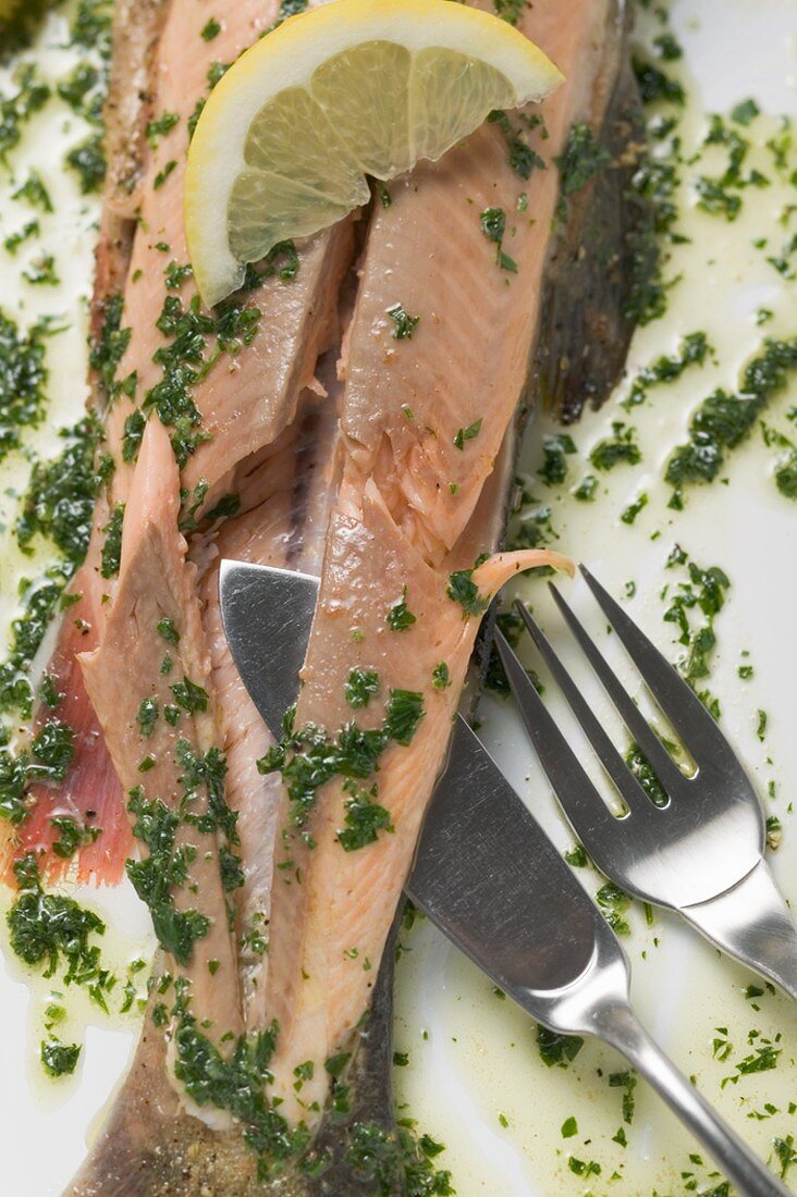 Salmon trout with herb butter and lemon