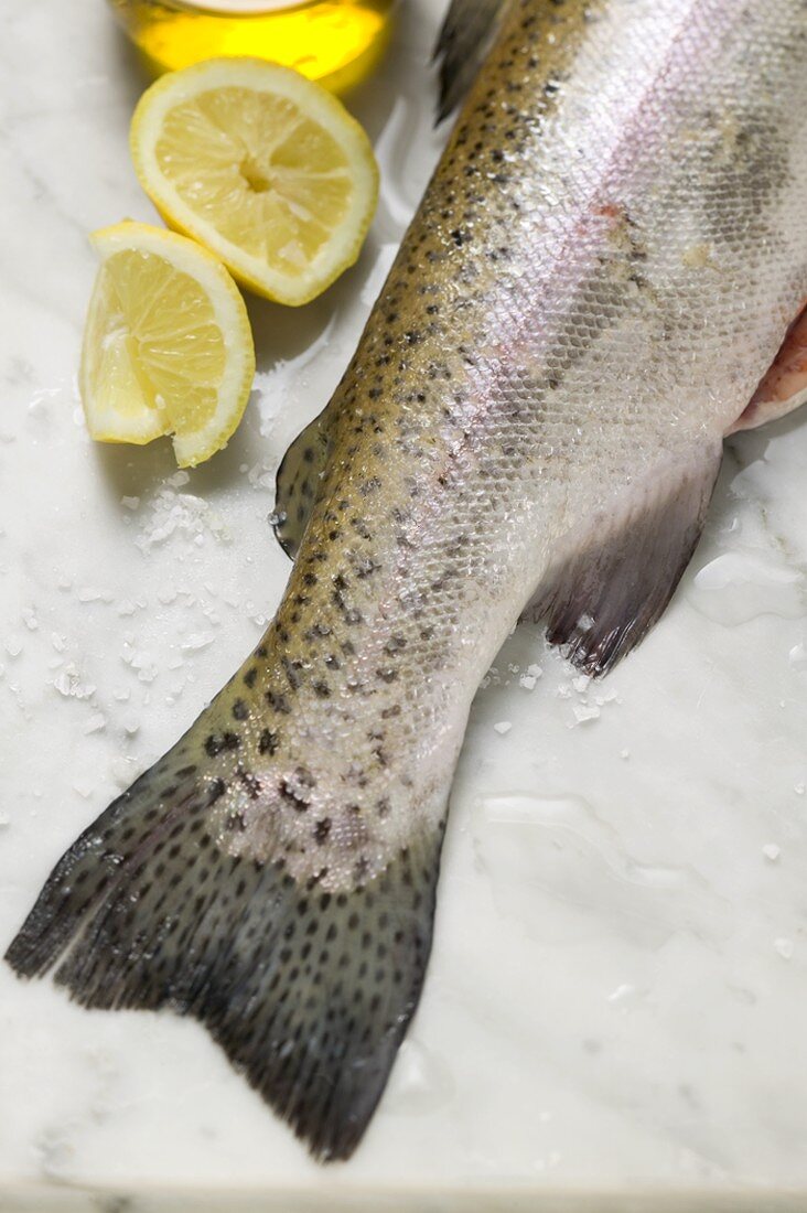 Fresh salmon trout, salt and lemons