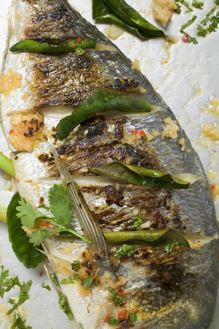 Roasted gilthead bream with lemon leaves