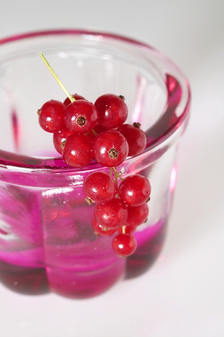 Jelly in small jelly mould with redcurrants