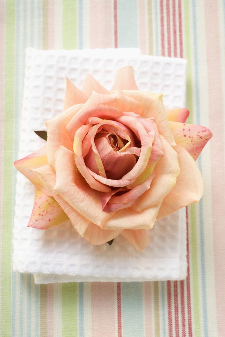 Pink rose on white towel