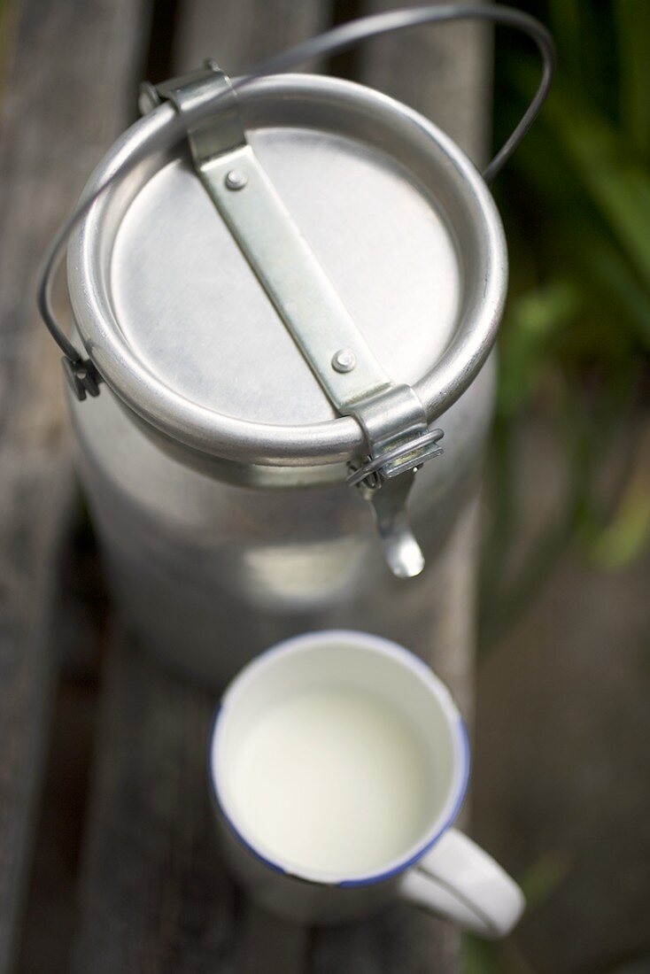 Milk can and mug of milk on wooden bench